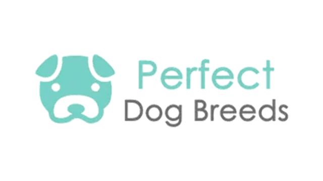 Perfect Dog Breeds